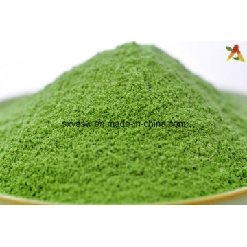 Natural Water Soluble Barley Grass Powder